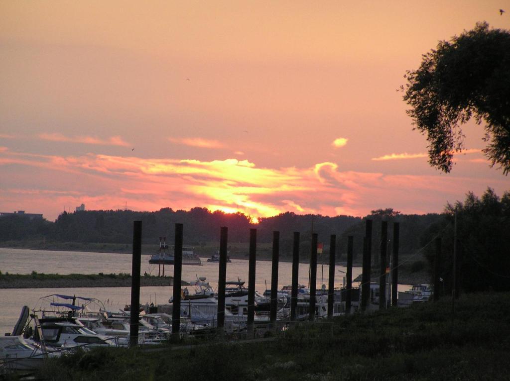 Rhein River - Direct On The Rhine Gasthof