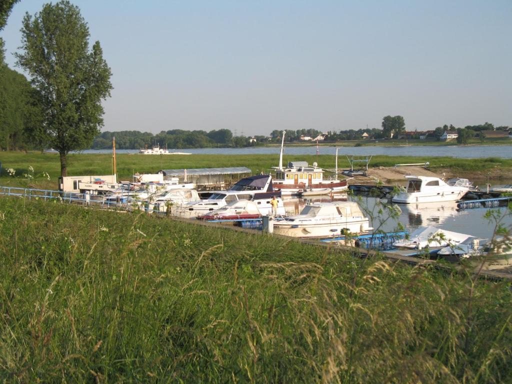 Rhein River - Direct On The Rhine Leverkusen