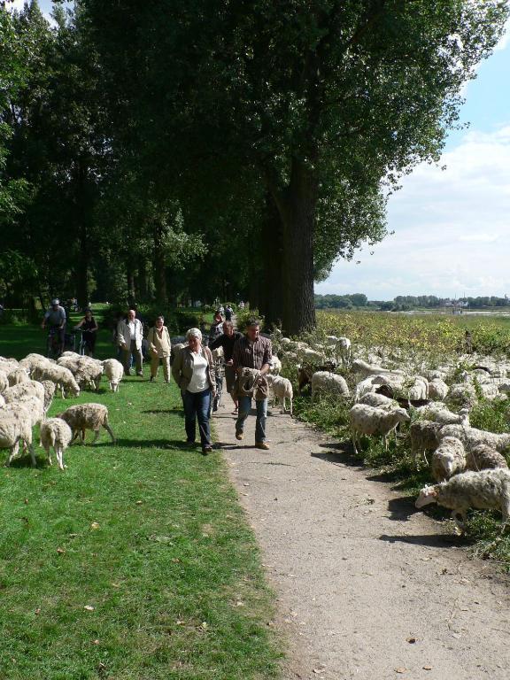 Rhein River - Direkt Am Rhein Gasthuis Leverkusen