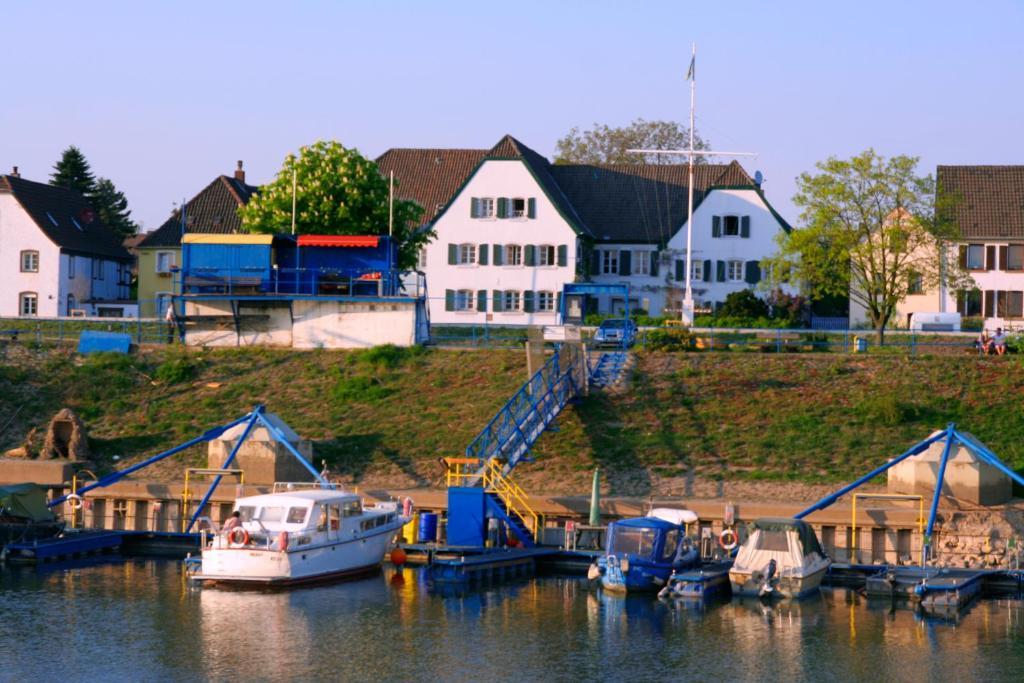 Rhein River - Direct On The Rhine 3*