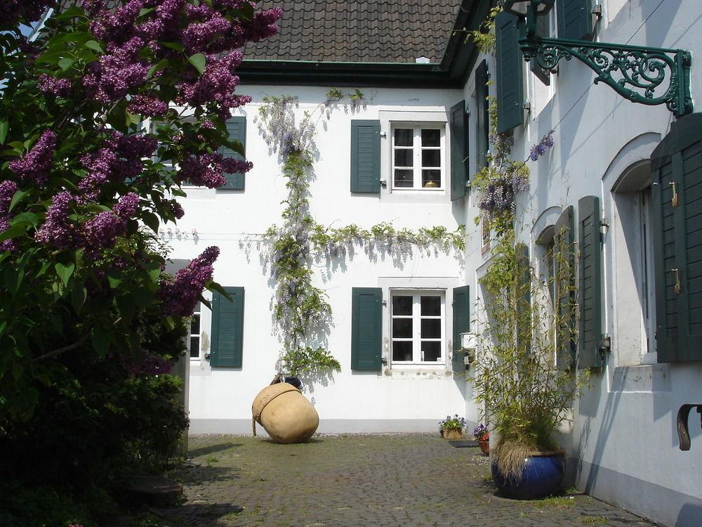 Gasthof Rhein River - Direct On The Rhine