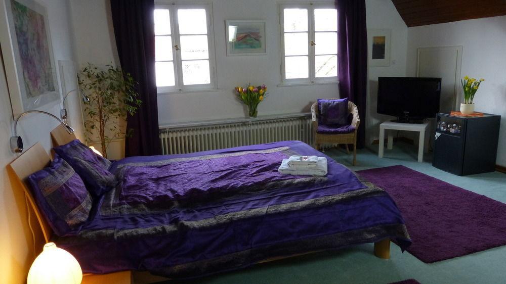 Rhein River - Direct On The Rhine 3*