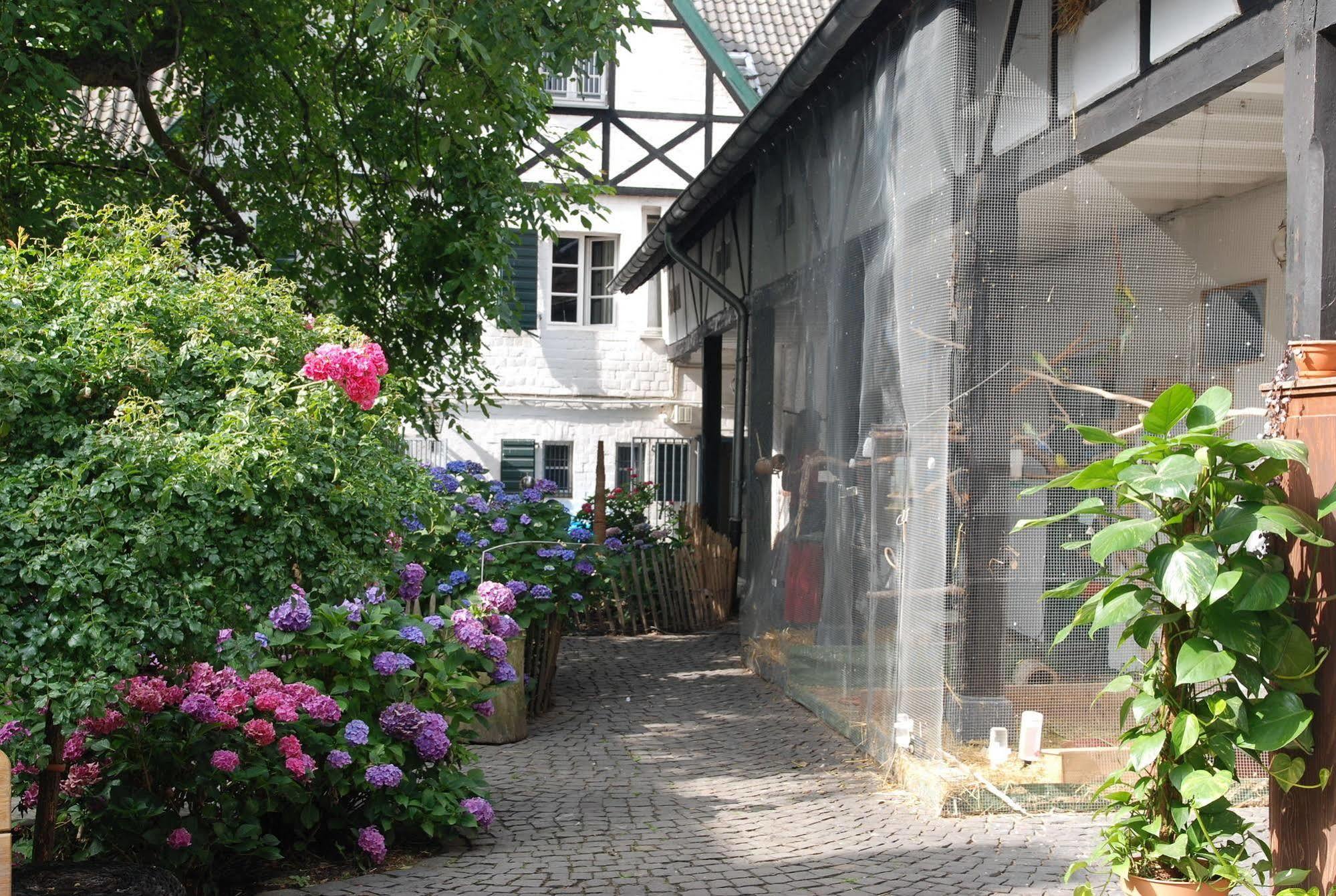 Gasthof Rhein River - Direct On The Rhine Leverkusen