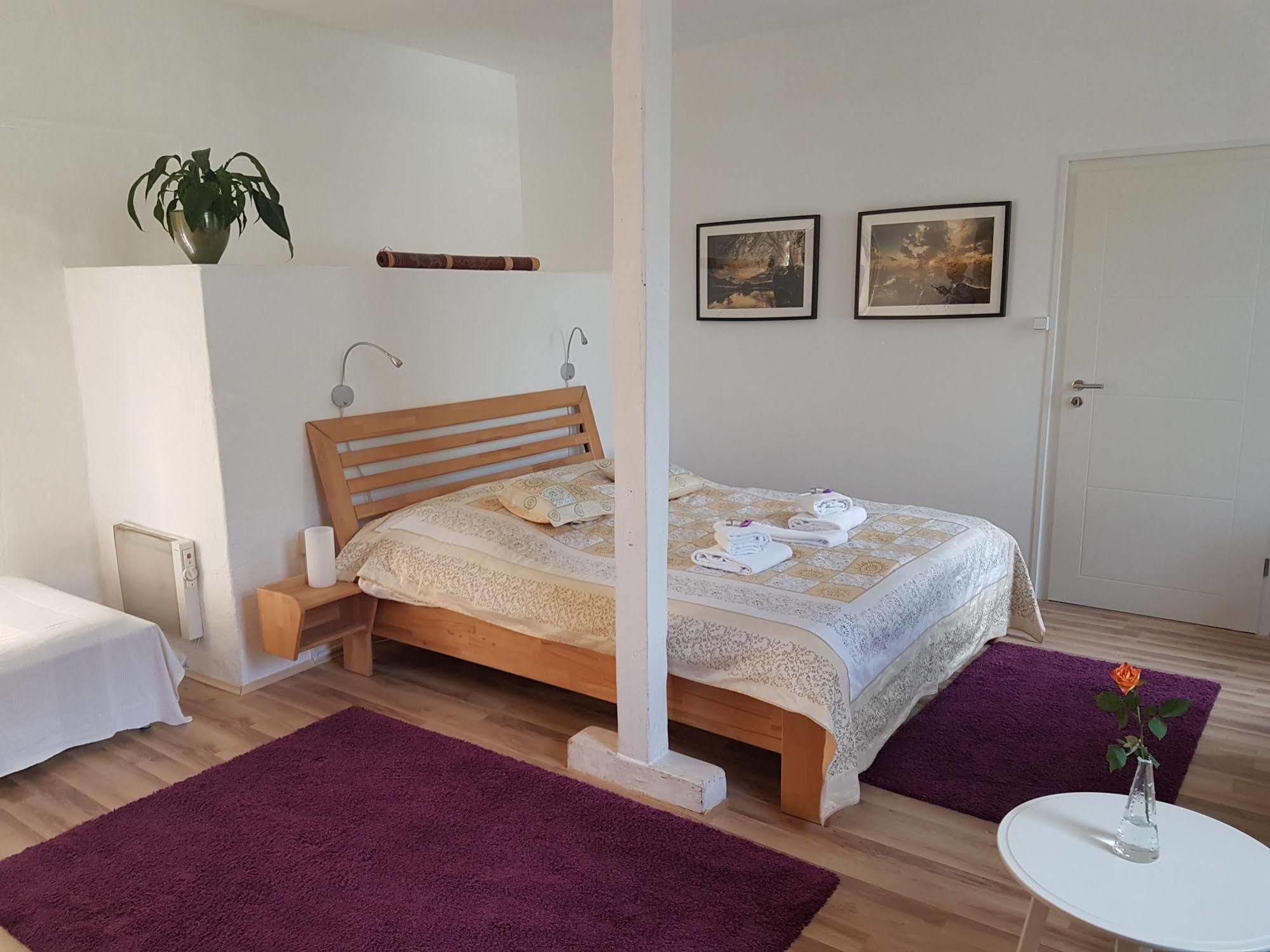 Rhein River - Direct On The Rhine Gasthof 3*